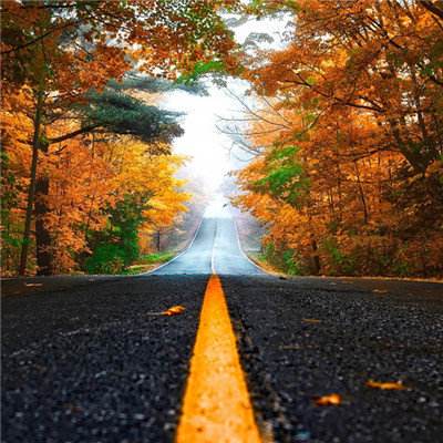 安庆房产信息网